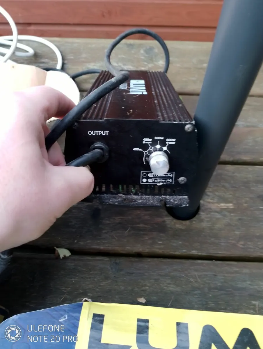 Grow lights - Image 1