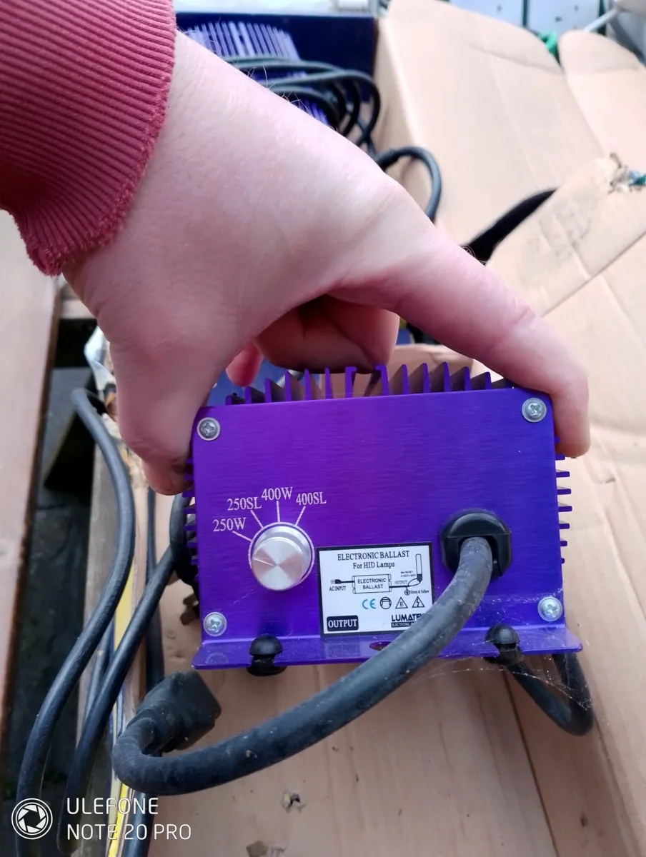 Grow lights - Image 3