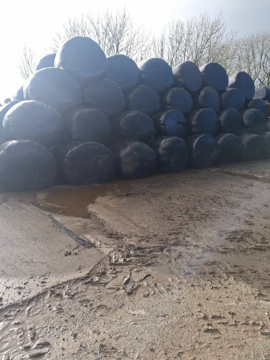 Silage Bales - Image 1