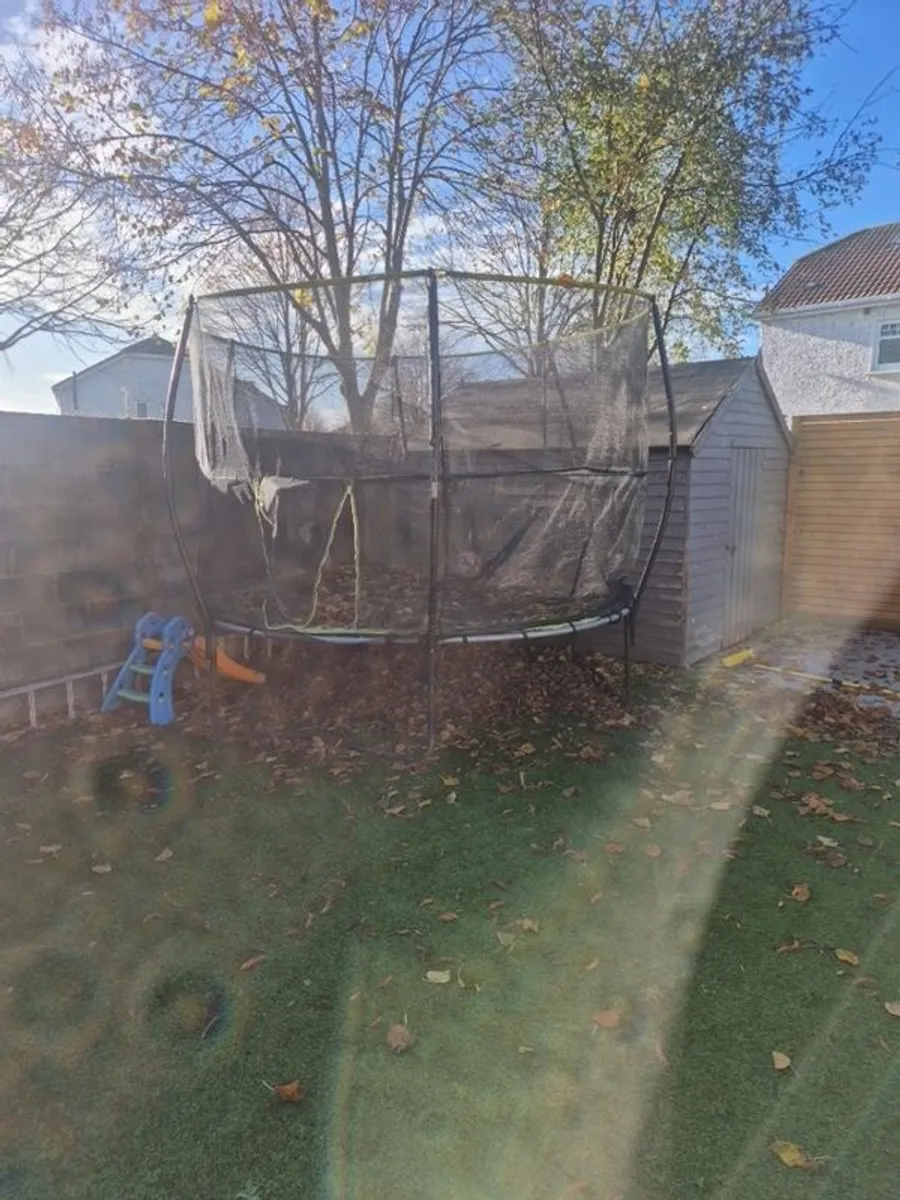 trampoline - Image 1