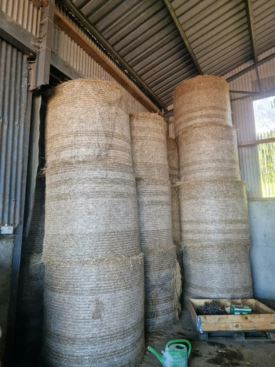 Barley Straw - Image 1