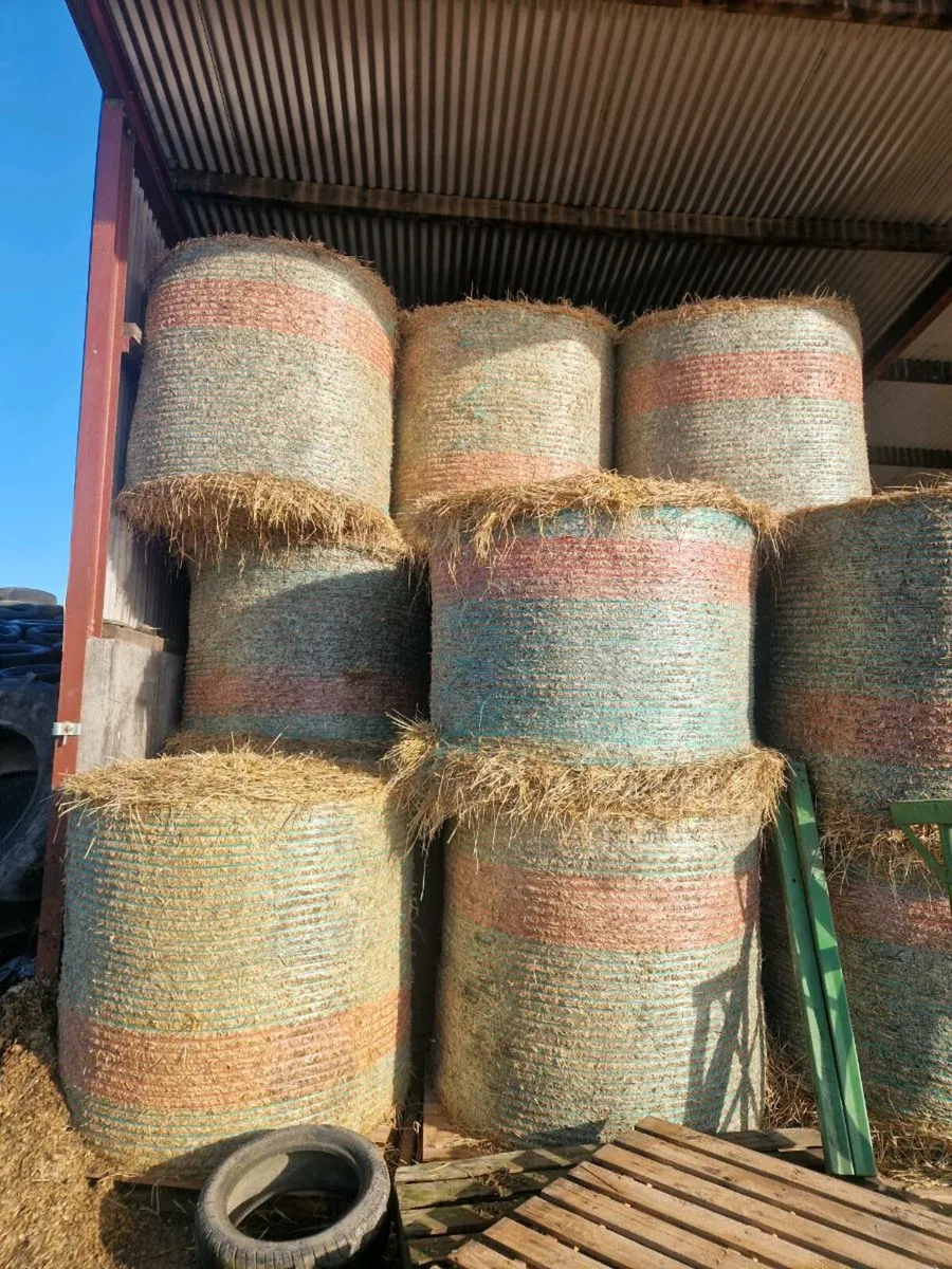 Barley Straw - Image 2