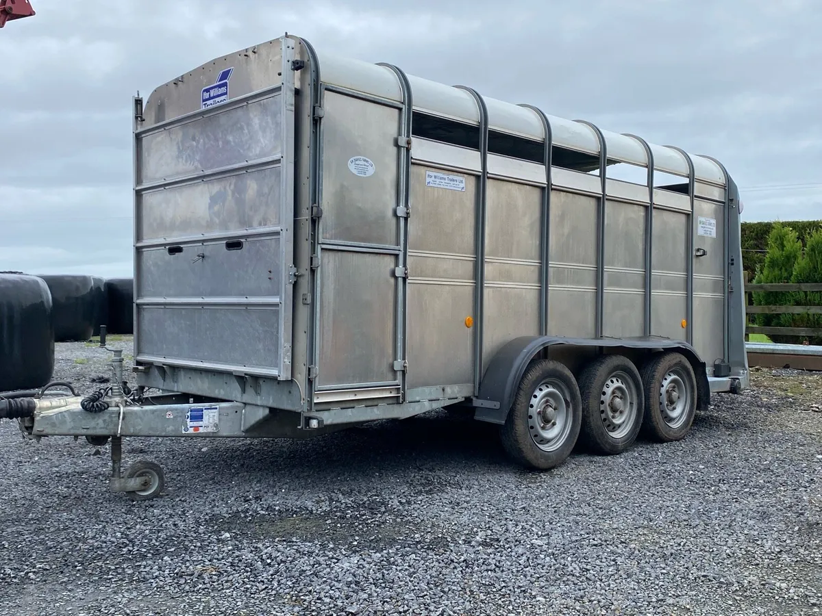 IVOR WILLIAMS 14ft CATTLE TRAILER - Image 2