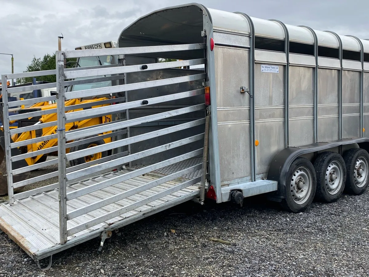 IVOR WILLIAMS 14ft CATTLE TRAILER - Image 4