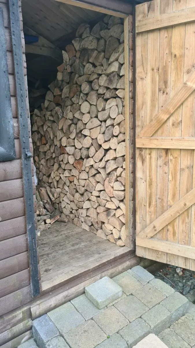 Timber 🪵 - Image 4