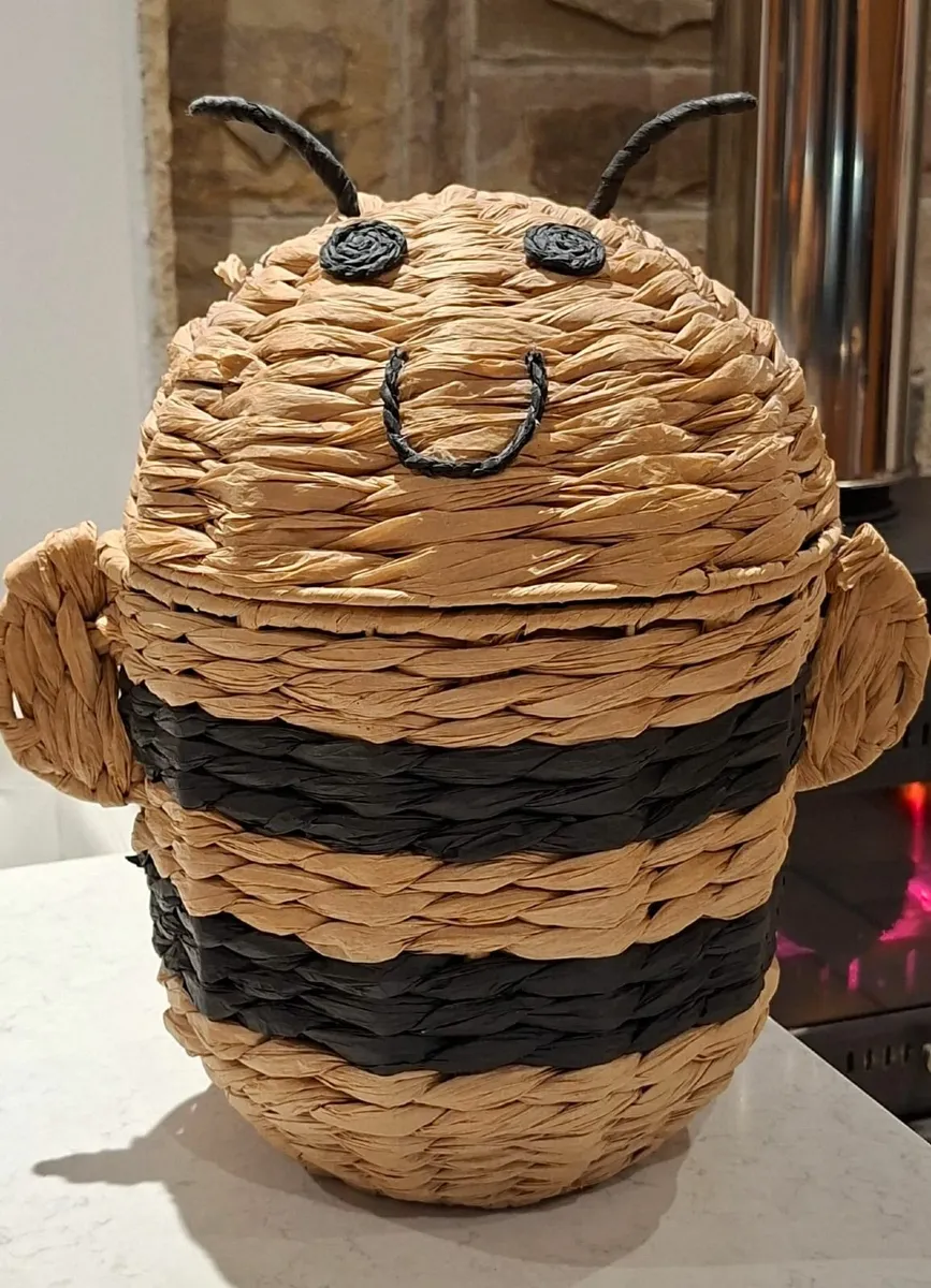 Storage Boxes - varied prices (read descrip) - Image 3