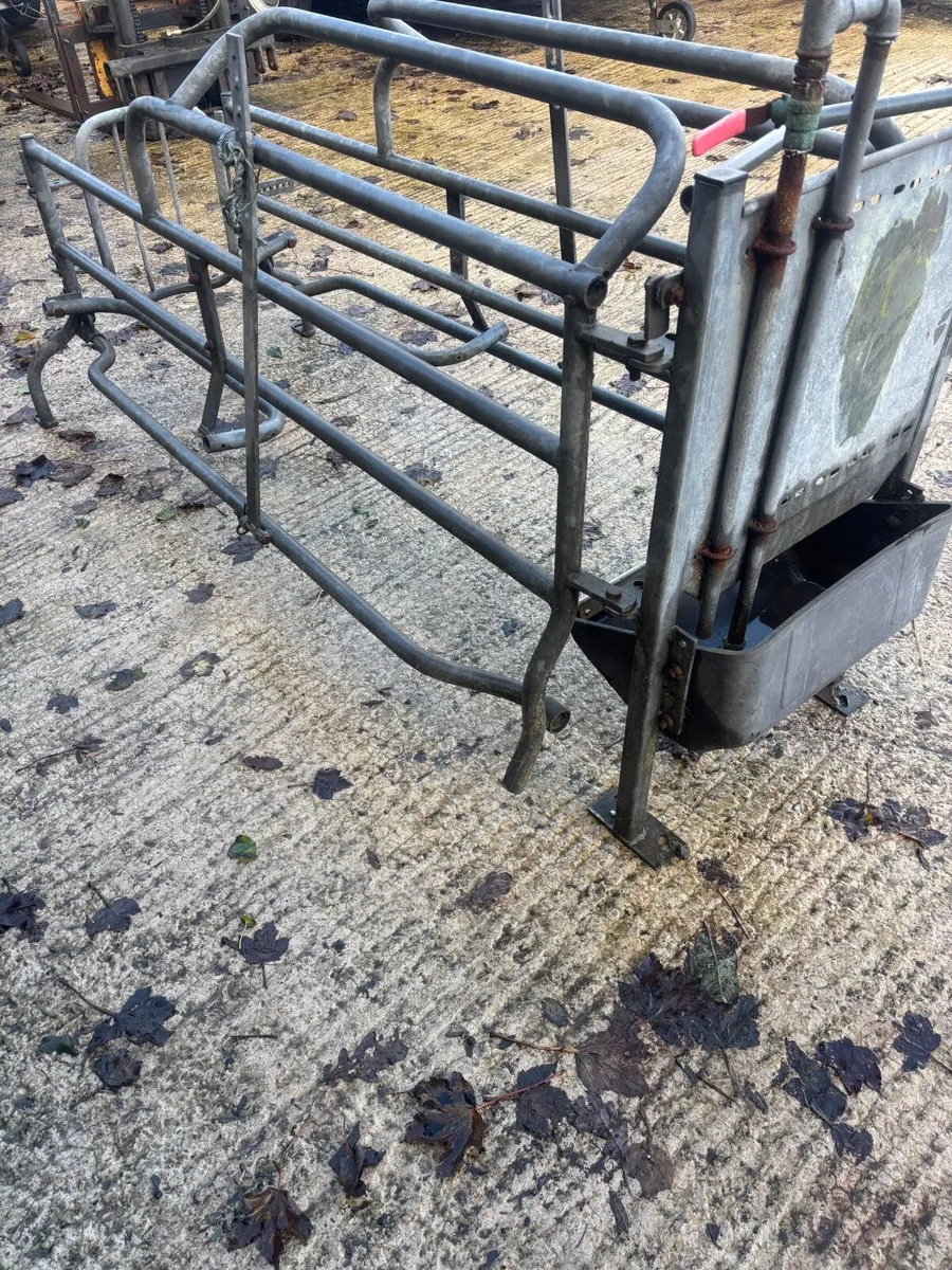 Farrowing create - Image 3