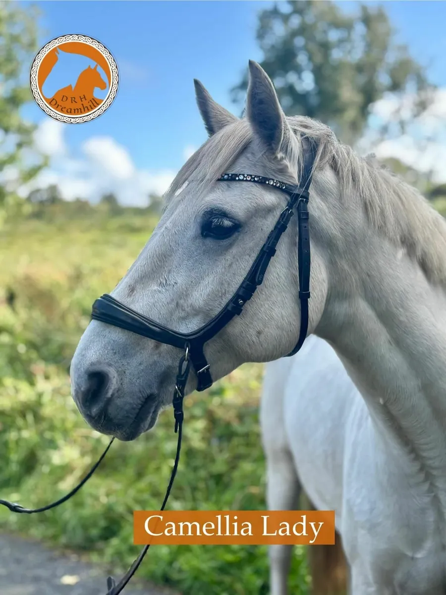 Lady a real life unicorn - Image 2