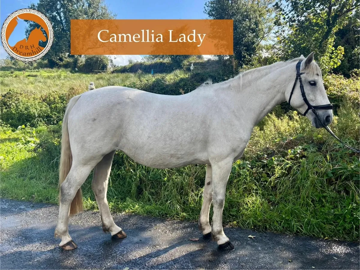 Lady a real life unicorn - Image 1