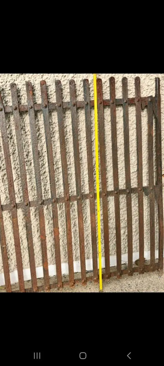 10ft old fordge gates - Image 2