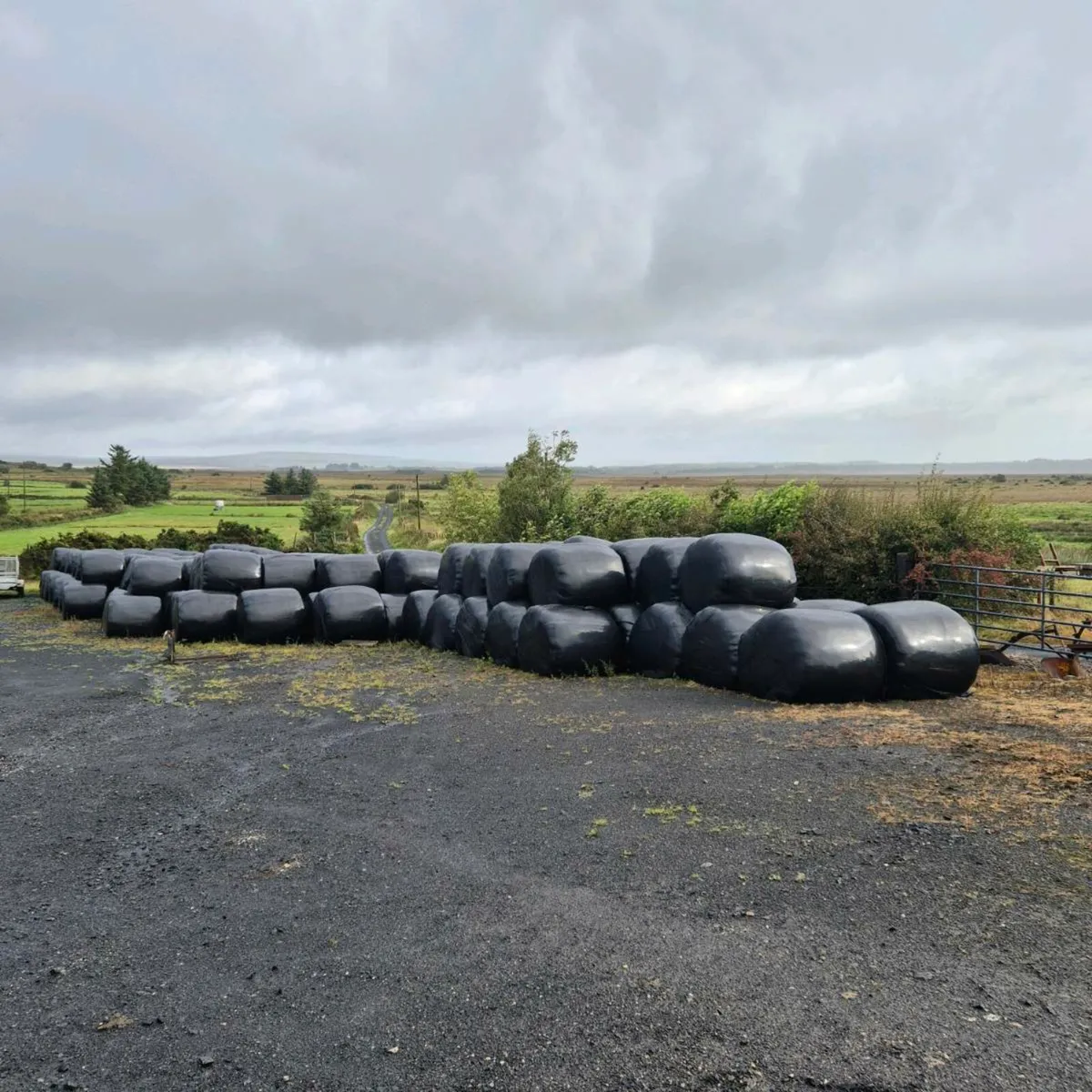 Silage bales - Image 2