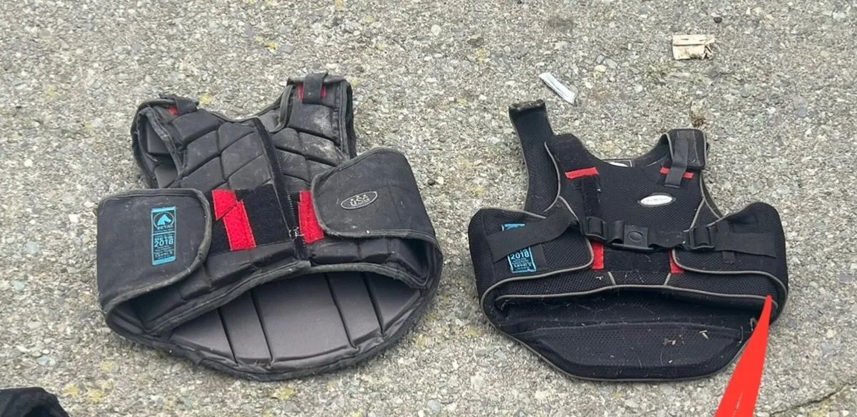 Horse care equipment - Image 4