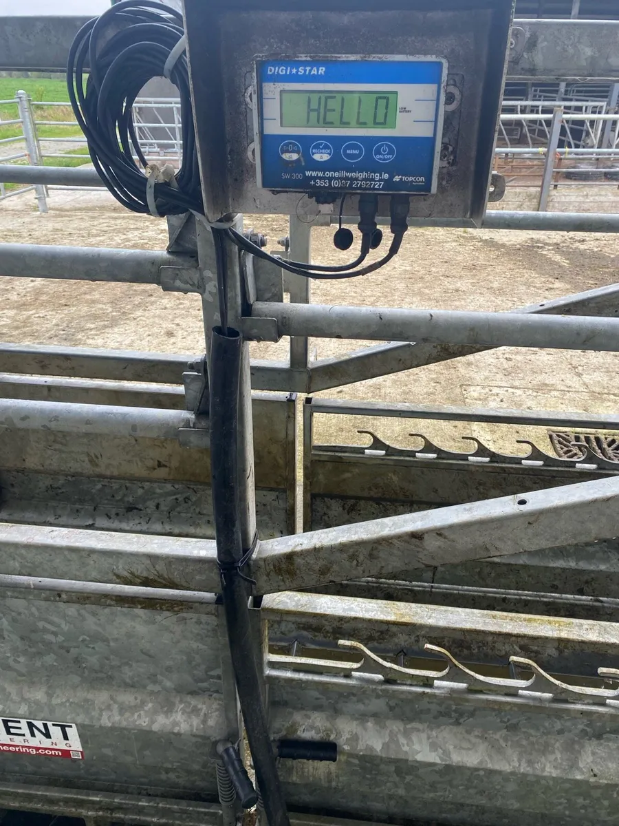 Cattle weighing scales - Image 3