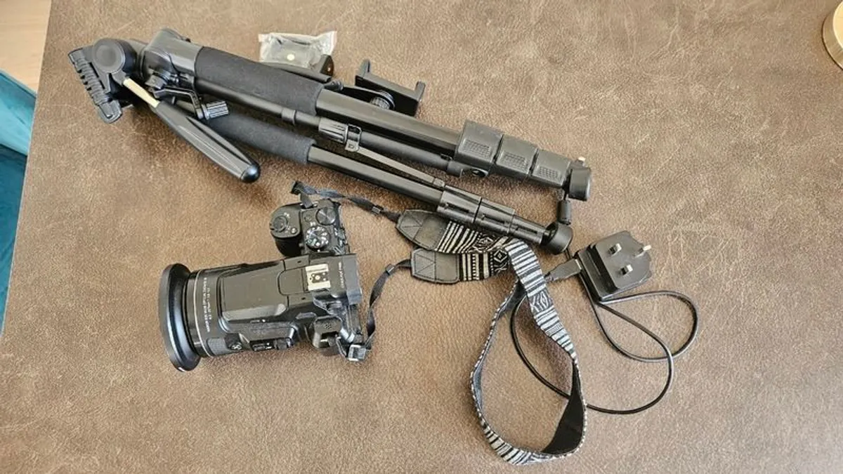 Nikon Coolpix P950 - Image 3