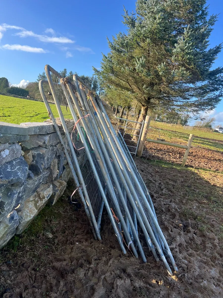 Harris Fence - Image 2