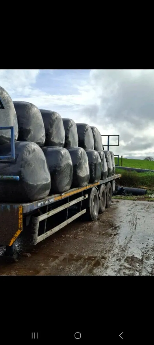 Bale trailer - Image 1