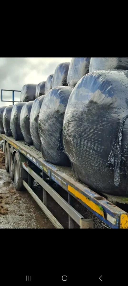 Bale trailer - Image 3