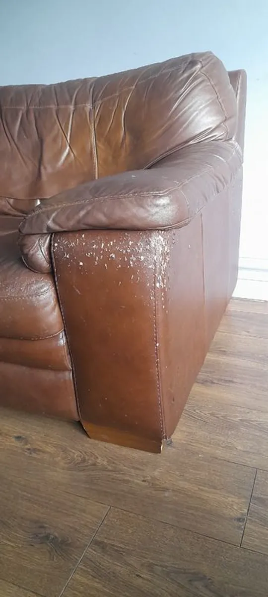 Leather Sofa - Image 3