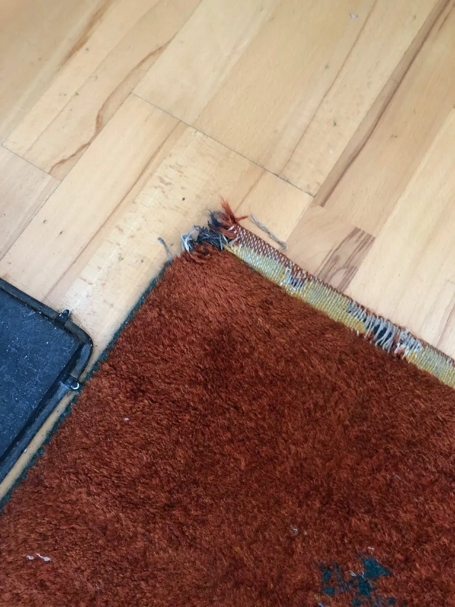 Large, Thick Rug 170cm x 240cm - Image 2