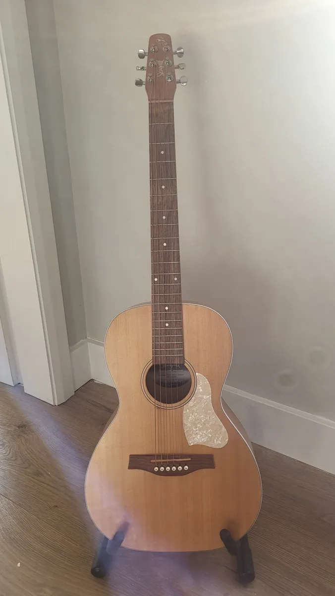 Parlor Acoustic Guitar - Seagull Entourage - Image 2