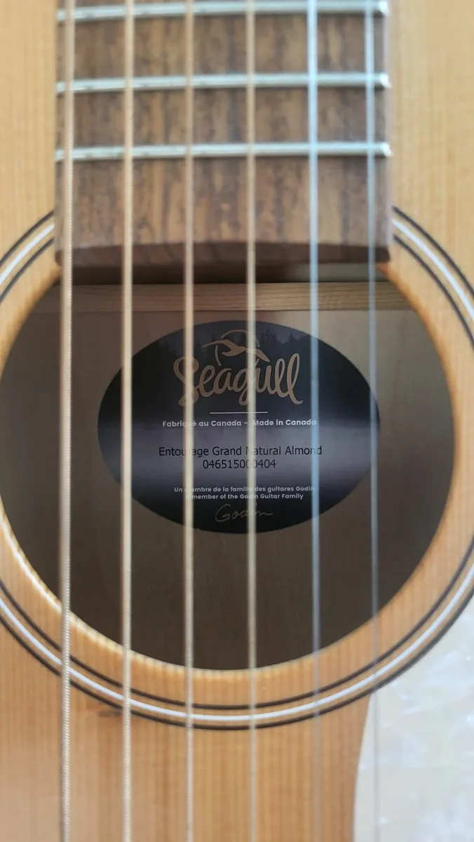 Parlor Acoustic Guitar - Seagull Entourage - Image 3