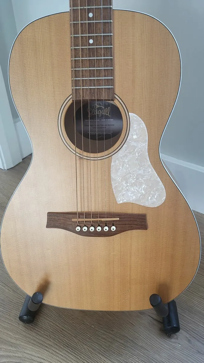 Parlor Acoustic Guitar - Seagull Entourage - Image 4