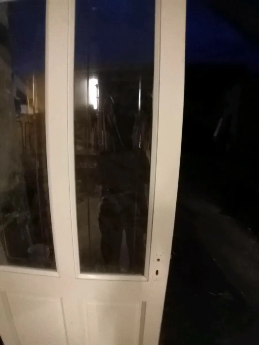 Internal door - Image 1