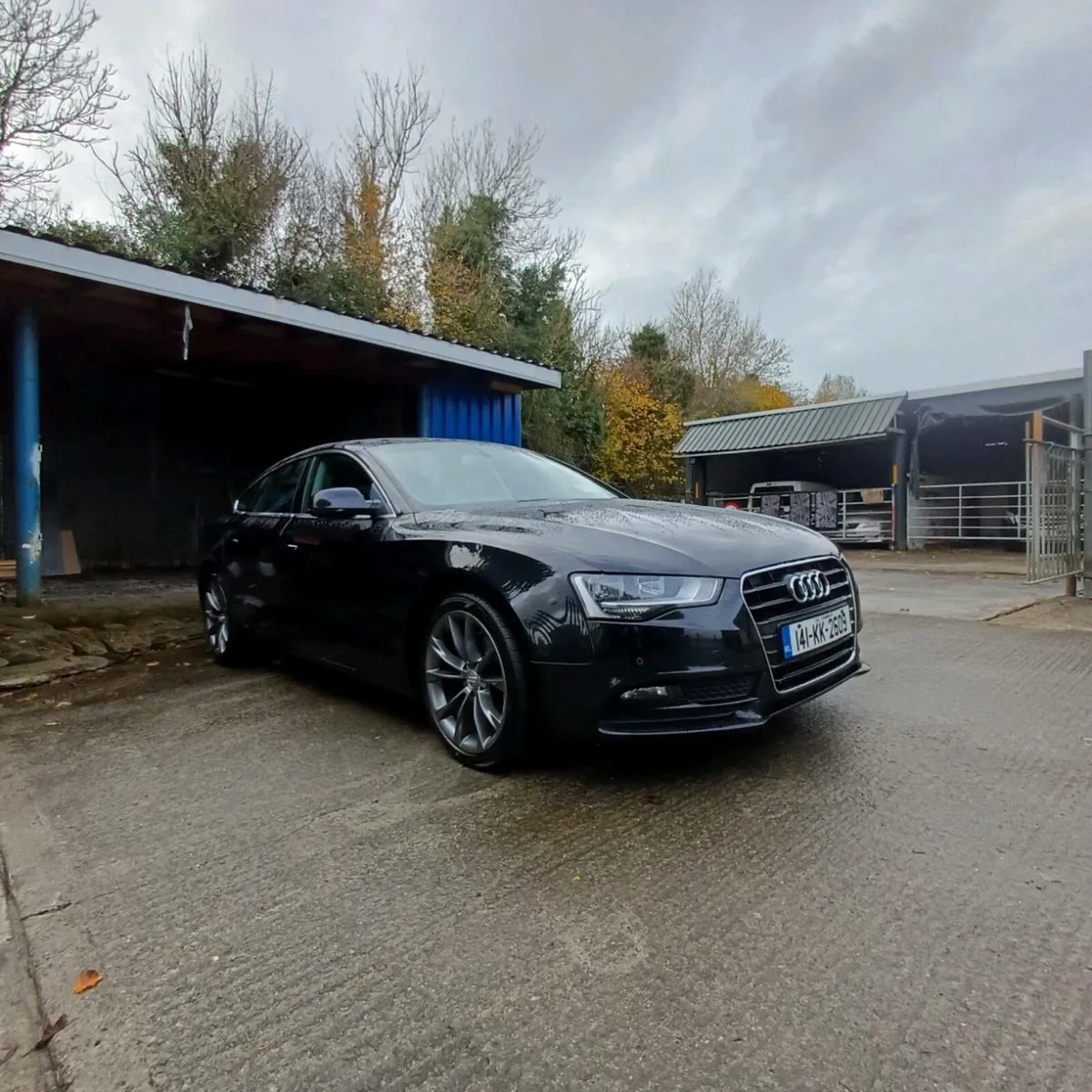 Audi A5 sport BACK TDI - Image 2