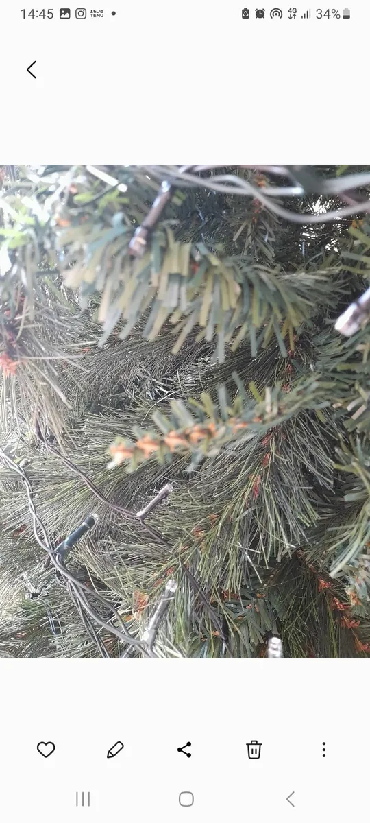 Christmas tree - Image 2