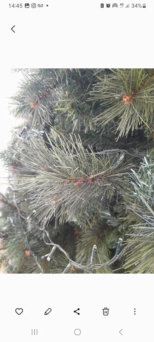 Christmas tree - Image 3