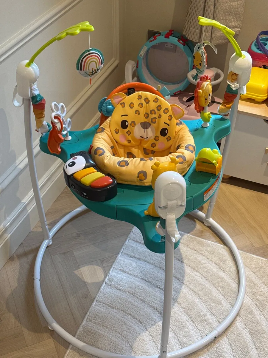 Fisher Price Baby Bouncer