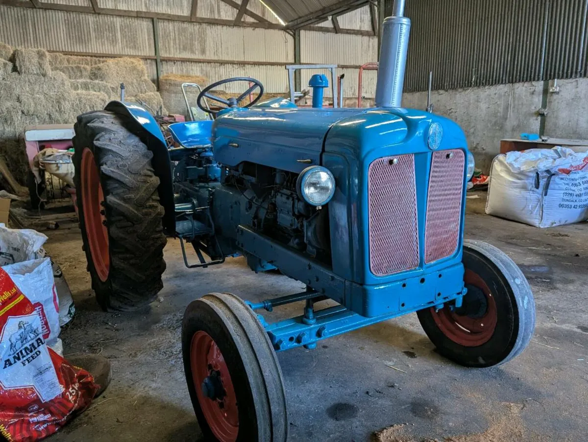Fordson Major Diesel - Image 3