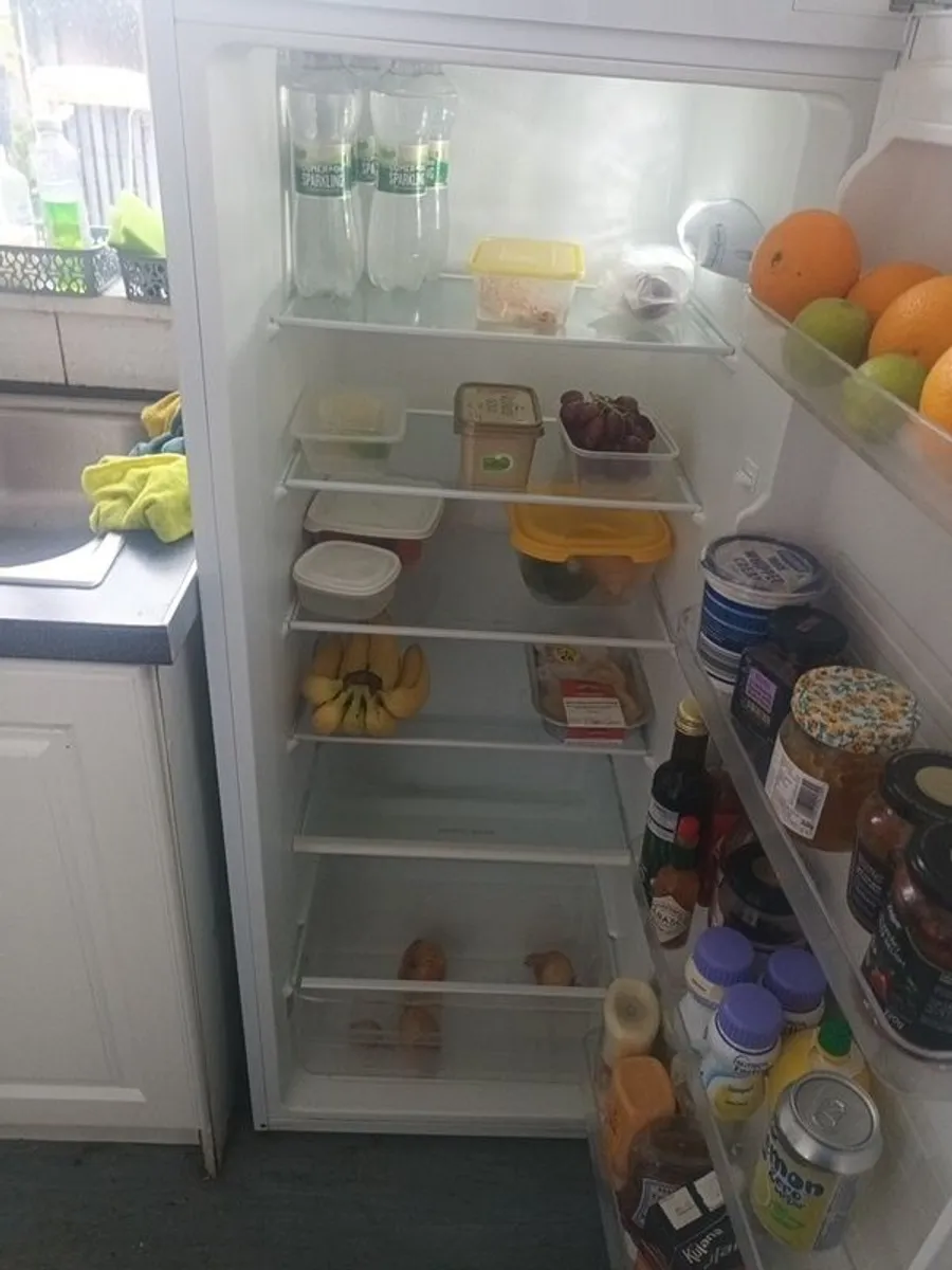 Stand alone Fridge - Image 3