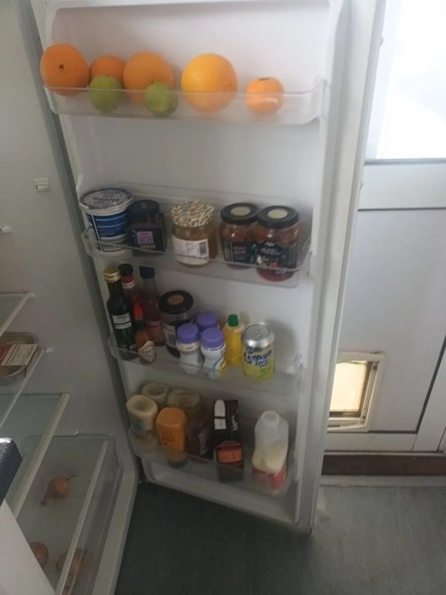 Stand alone Fridge - Image 4