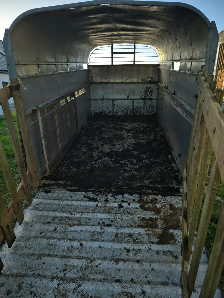 Cattle trailer - Image 2