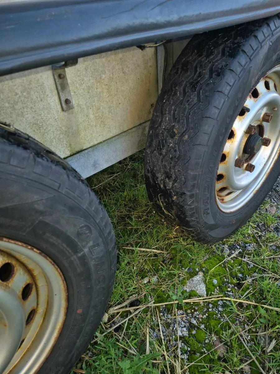 Cattle trailer - Image 3