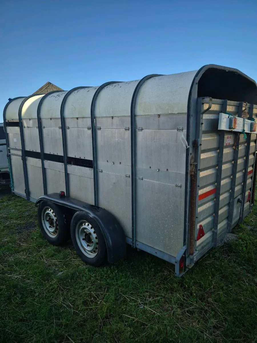 Cattle trailer - Image 4