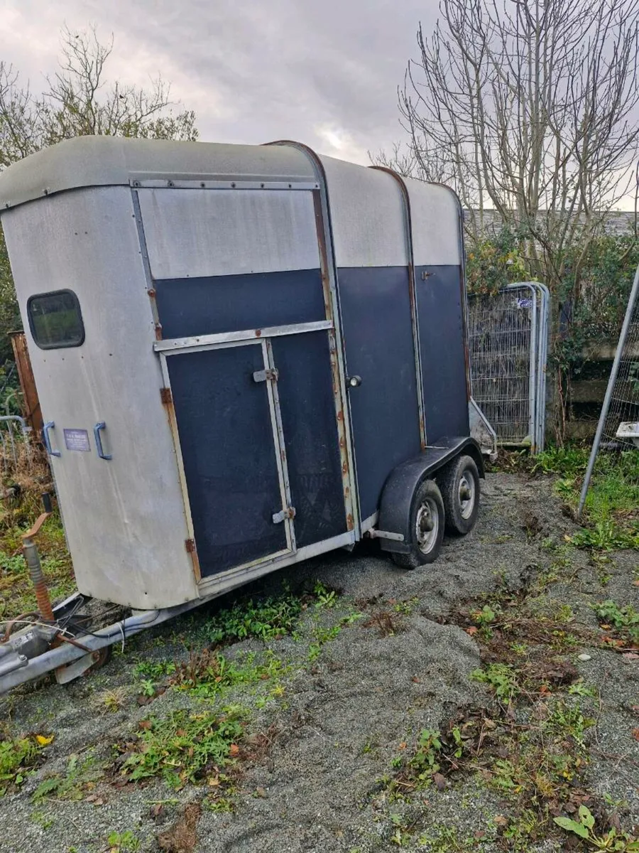 505 horsebox⁸ - Image 4