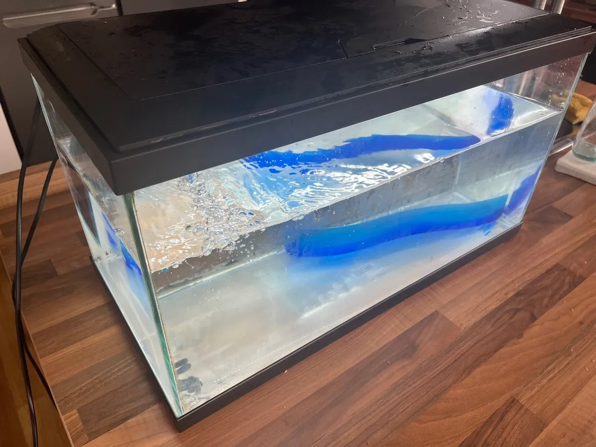 Fish tank (56L) and accessories - Image 1