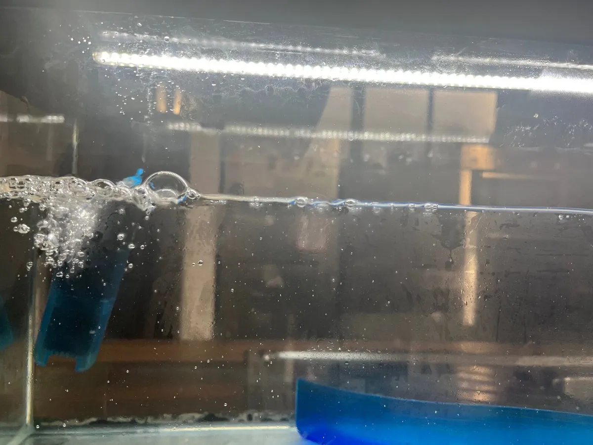 Fish tank (56L) and accessories - Image 4