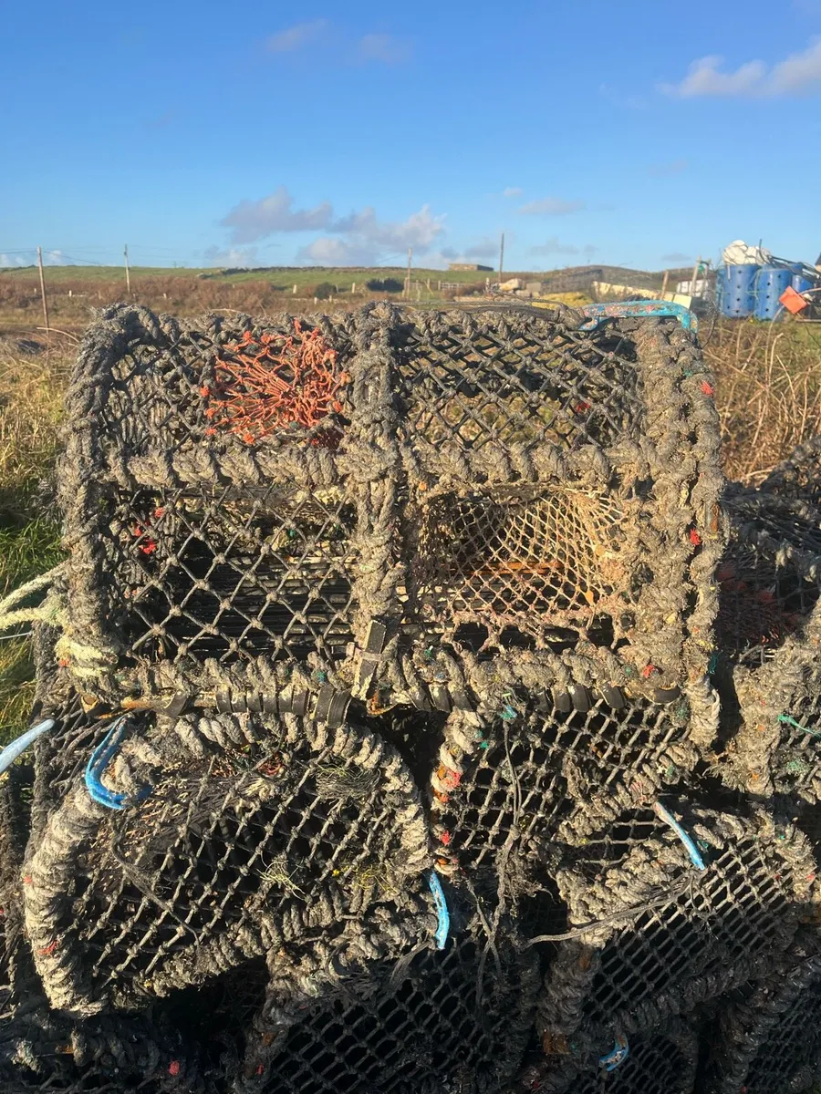 24 Inch pots - Image 1