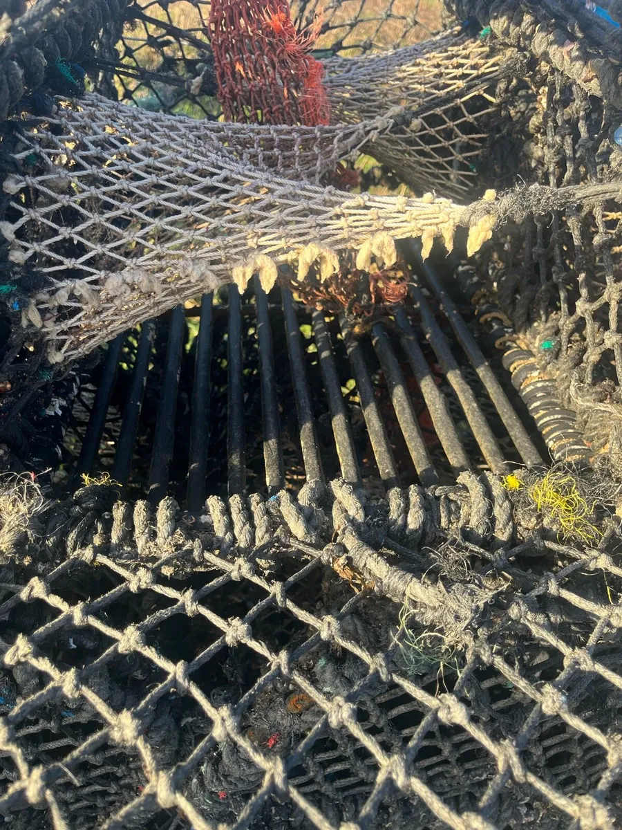 24 Inch pots - Image 2