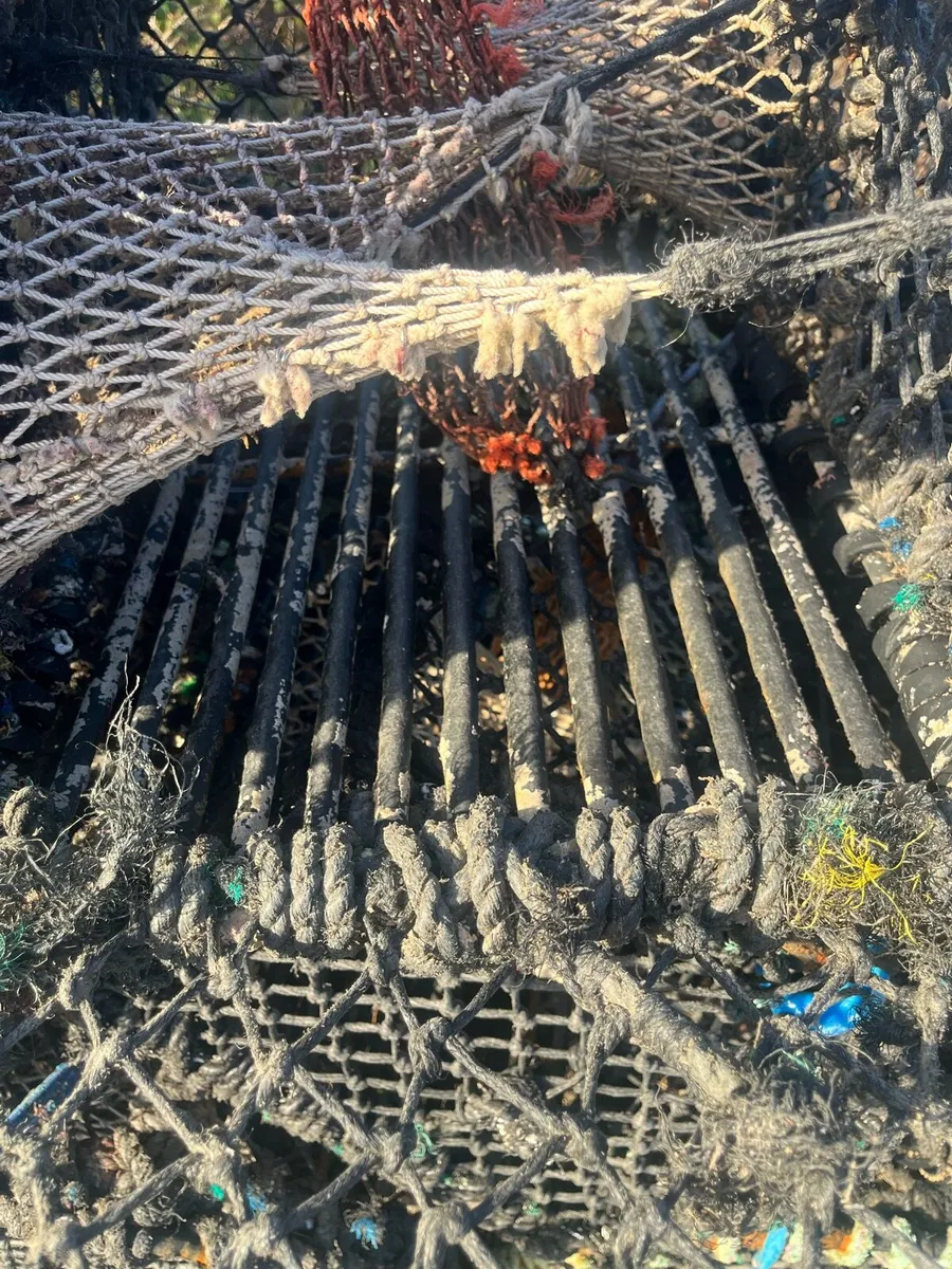 24 Inch pots - Image 3