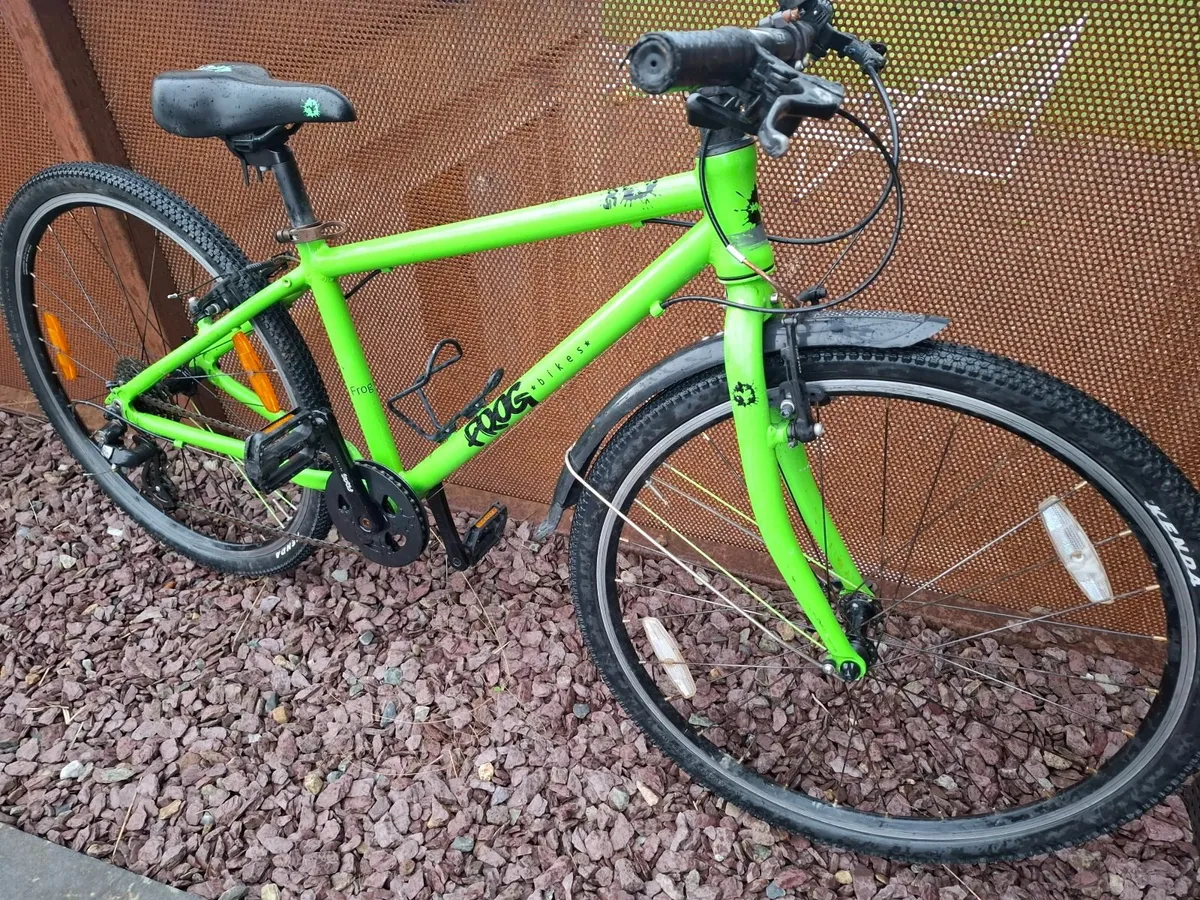 Frog 69 Bike - Image 1