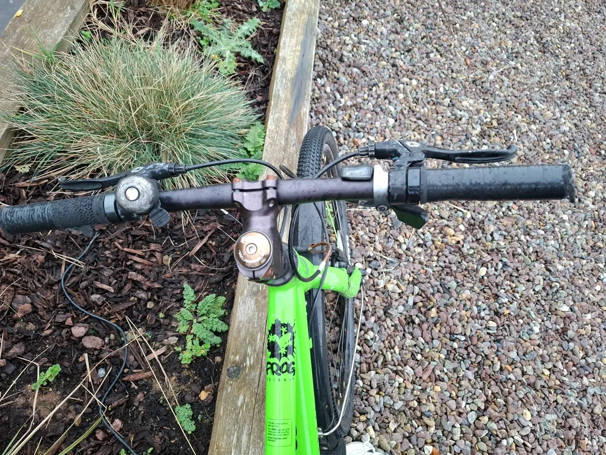 Frog 69 Bike - Image 4