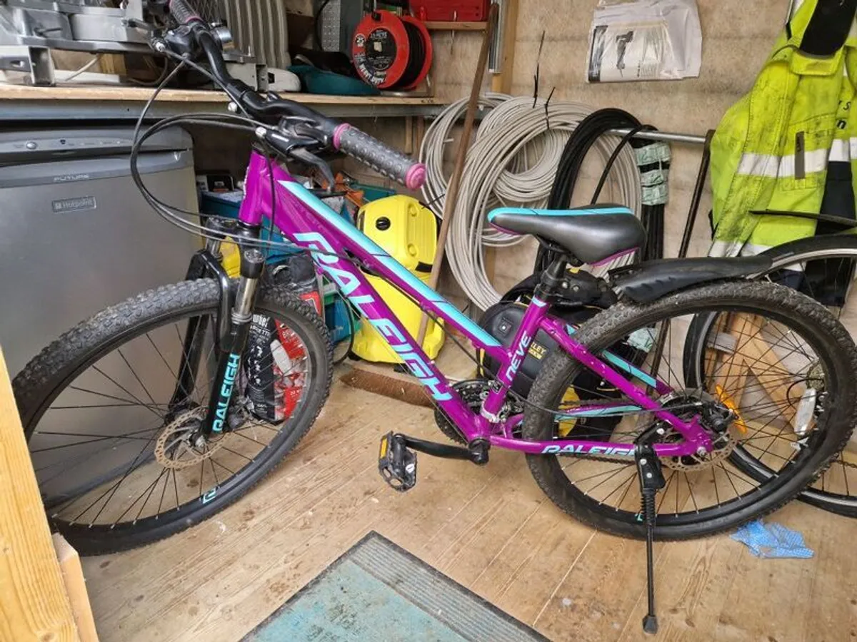 Girls Mountain Bike - Image 1