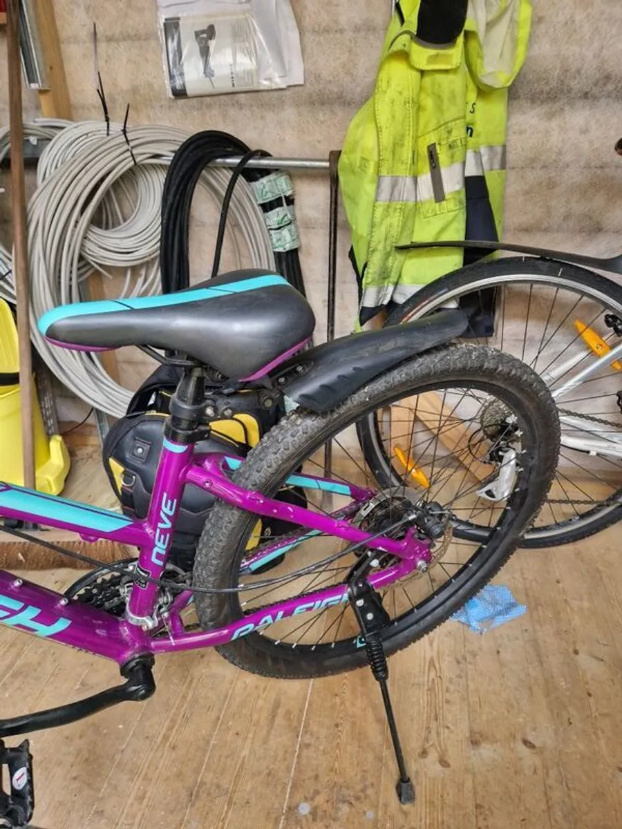 Girls Mountain Bike - Image 3