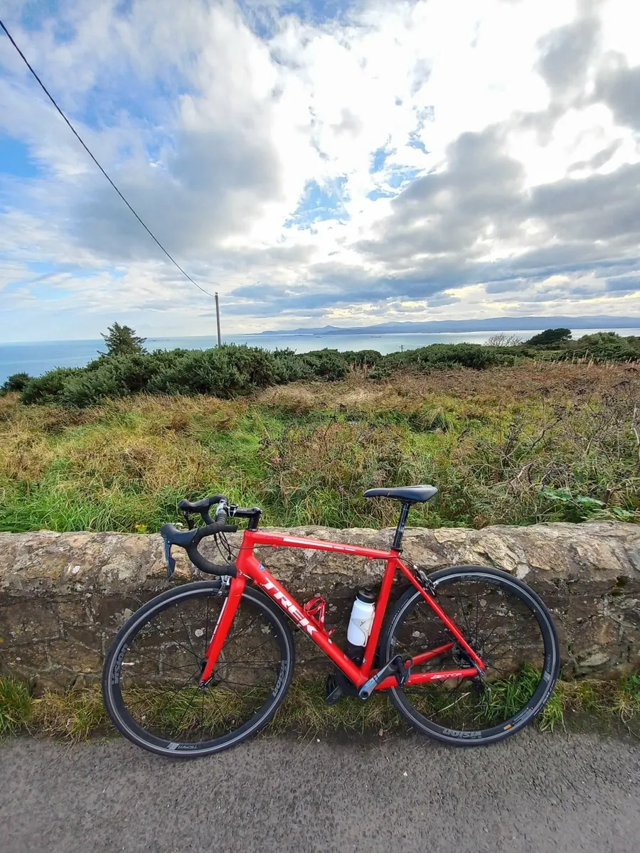 Trek Emonda ALR 4 - Image 1