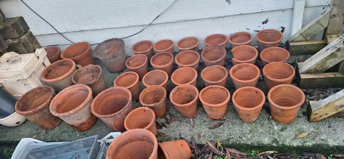 Flower pots - Image 1