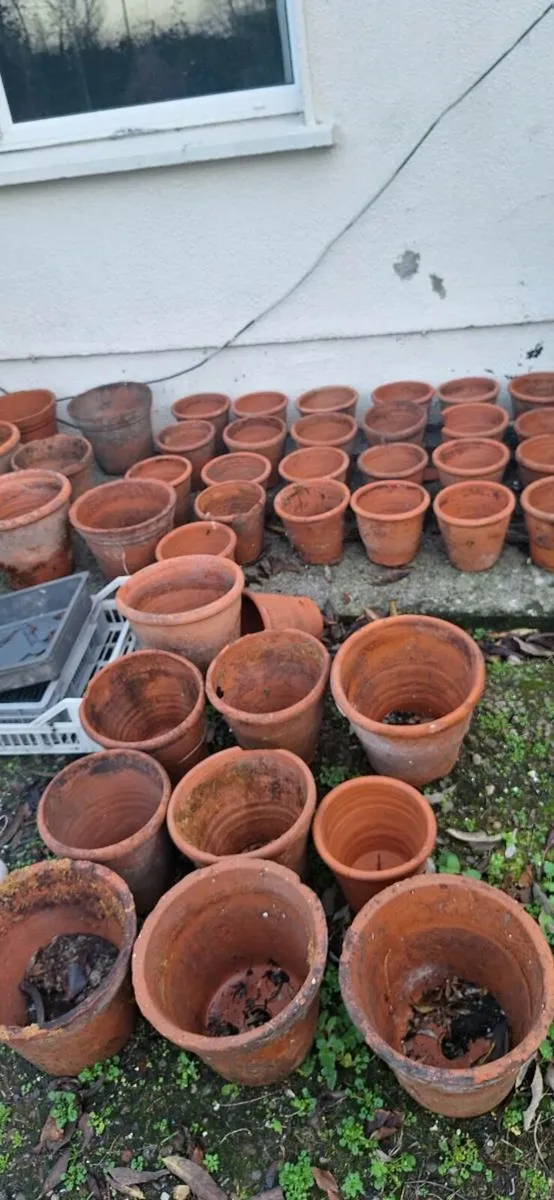 Flower pots - Image 2